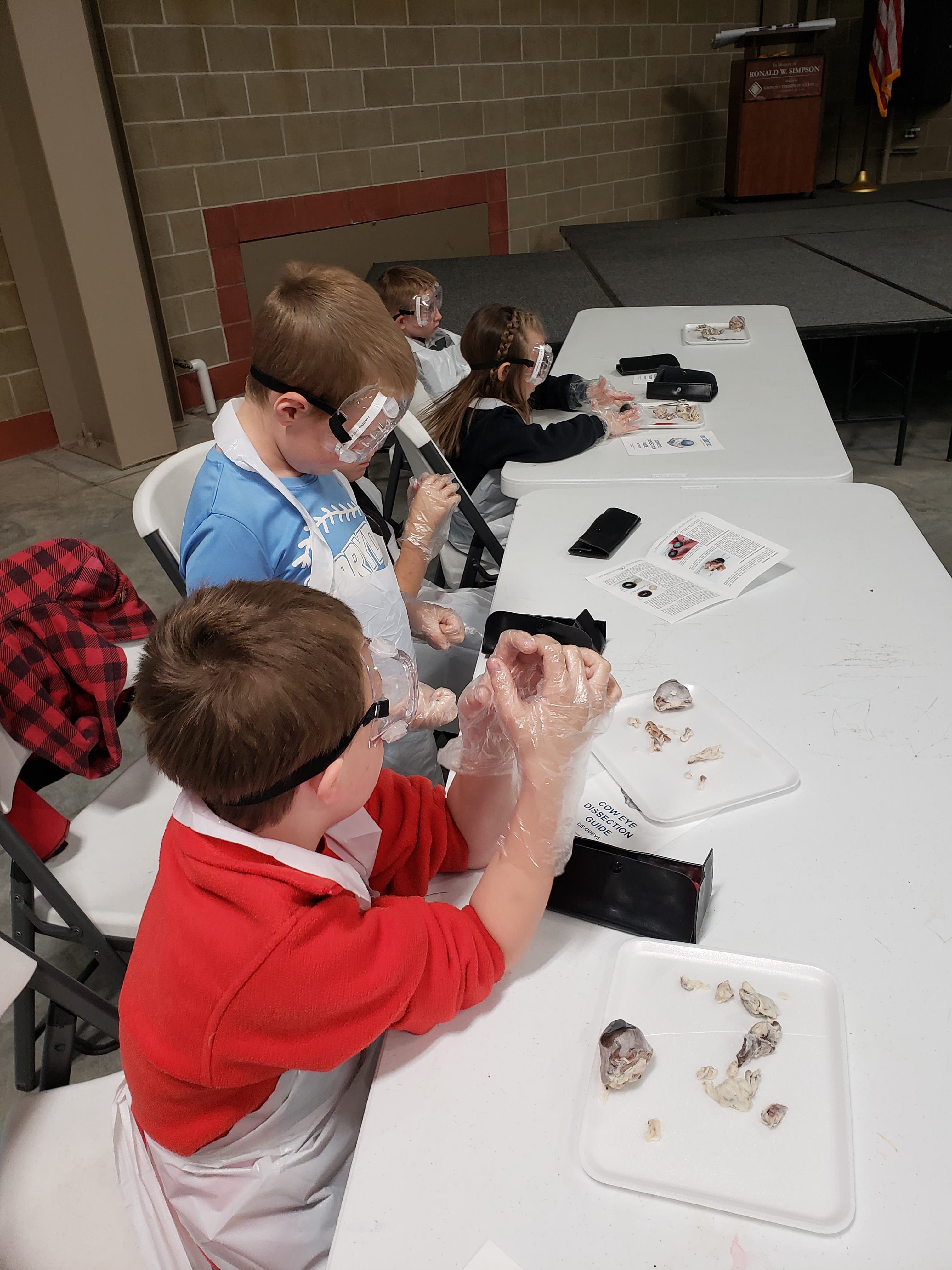 children with experiments