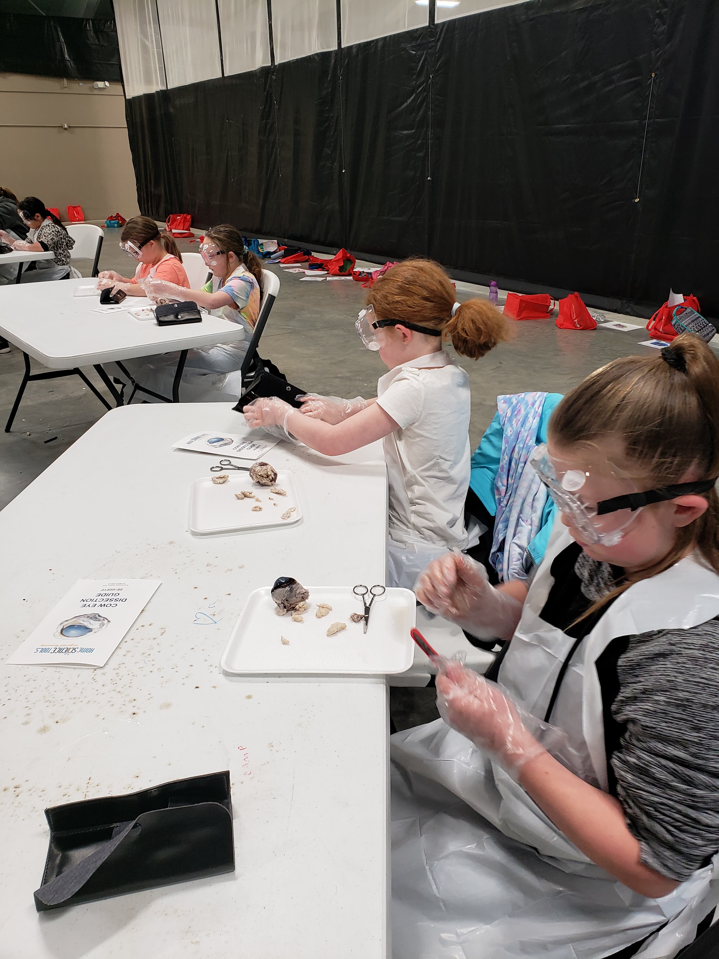 children experimenting