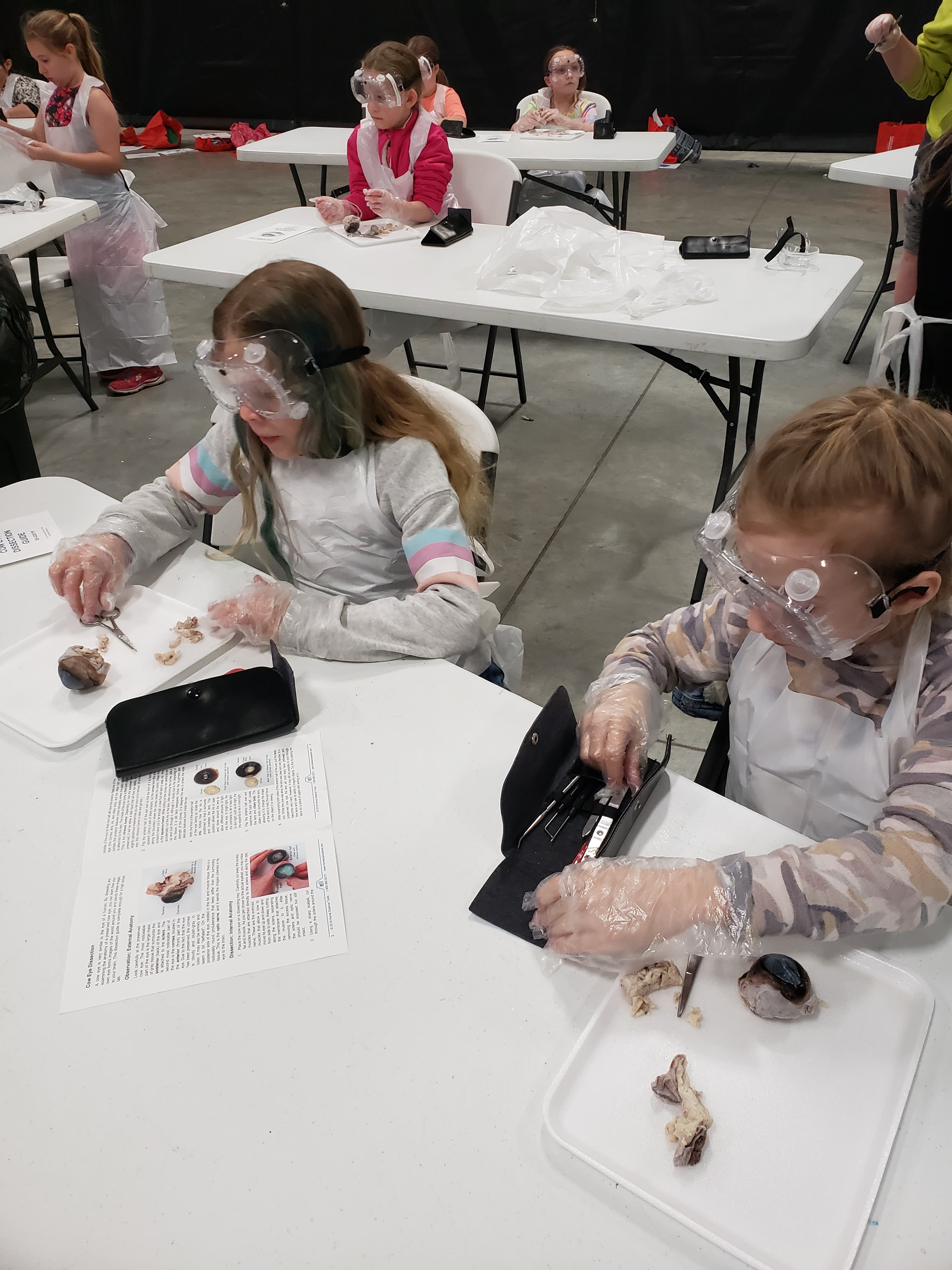 children at tables 