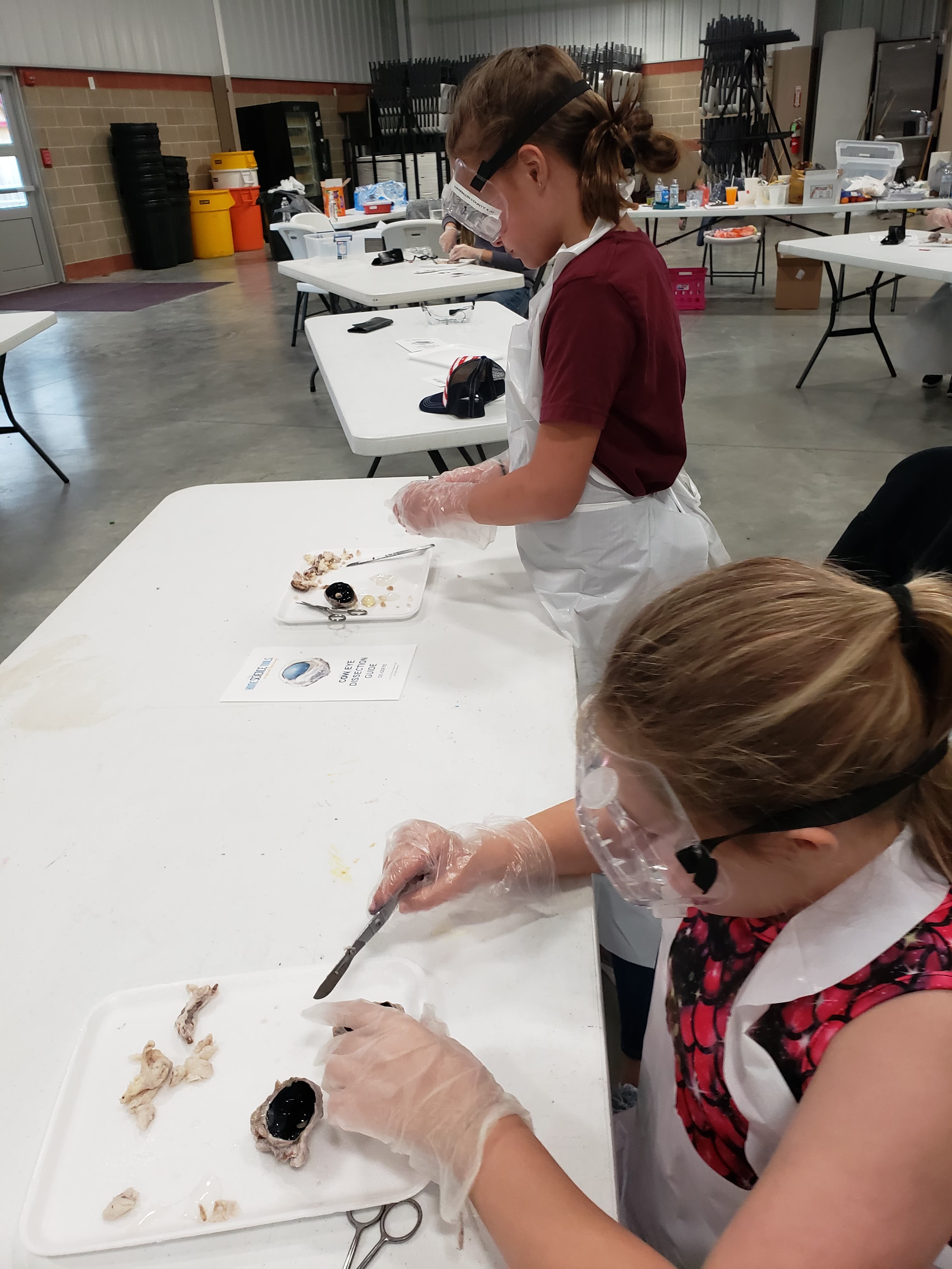 children experimenting at tables