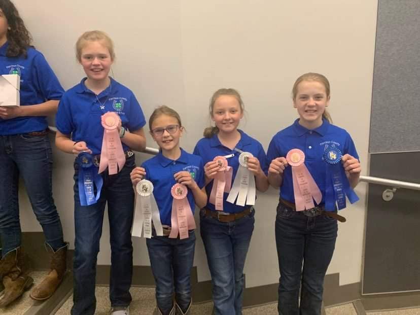 winning ribbons