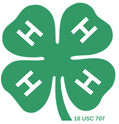 clover.jpg