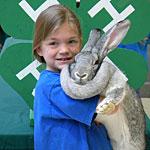 rabbit.jpg