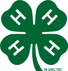 4-Hclover.jpg