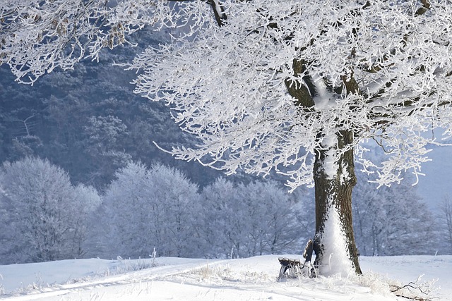 Winter