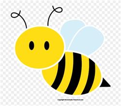 bee.jpg