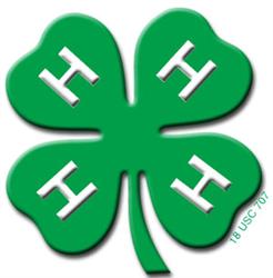 clover.jpg