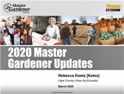 masterUpdates.jpg