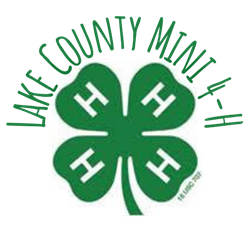mini4-H.jpg