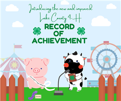 record.jpg