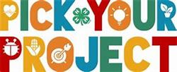pickYourProject.jpg