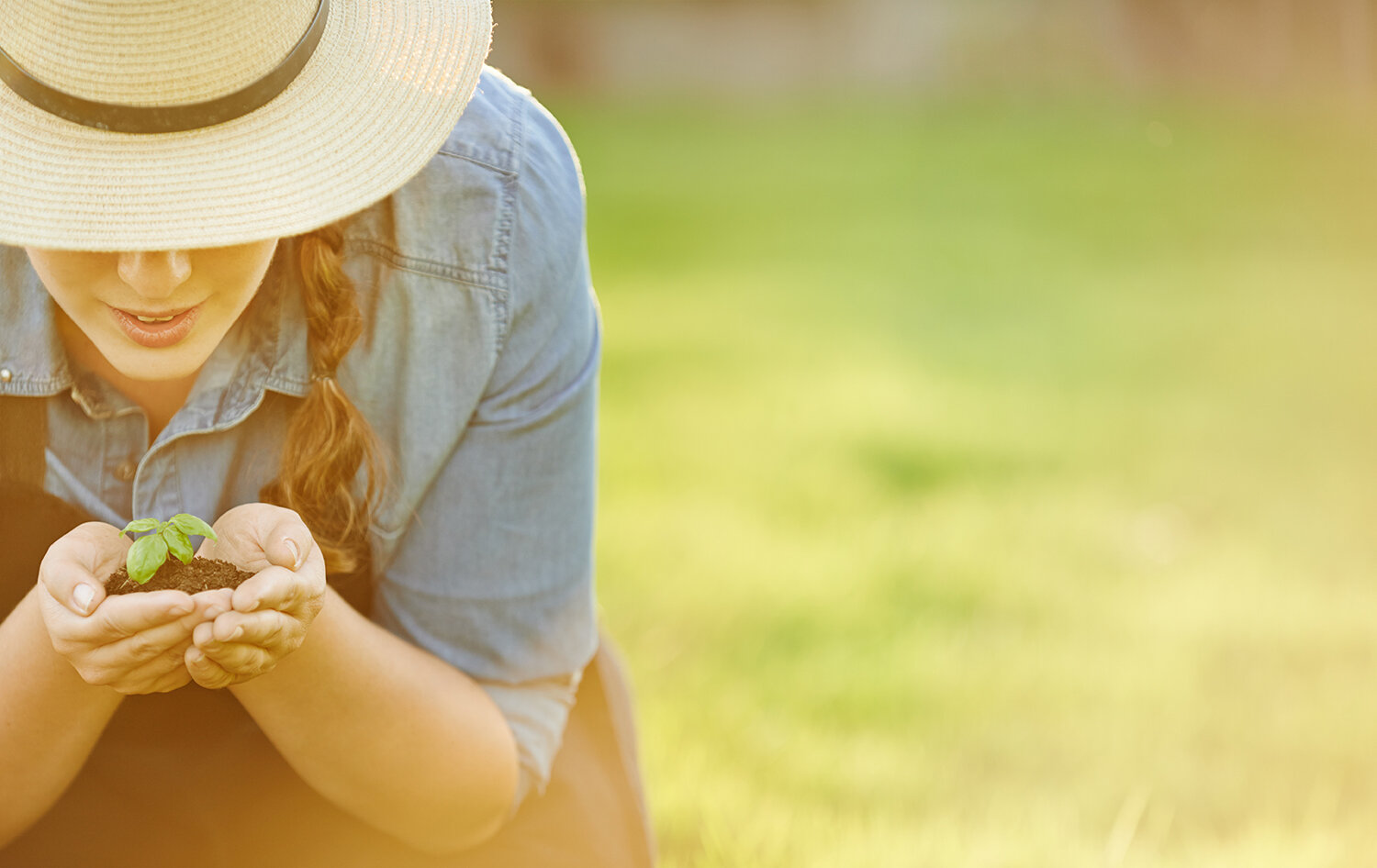 Women in Agriculture: Lunch n' Learn