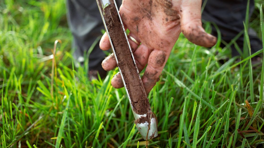 soil