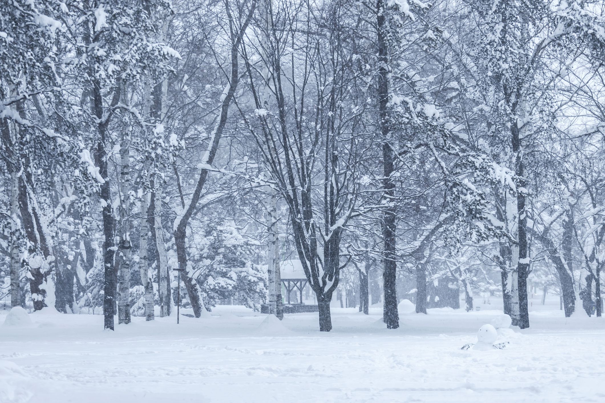 winter