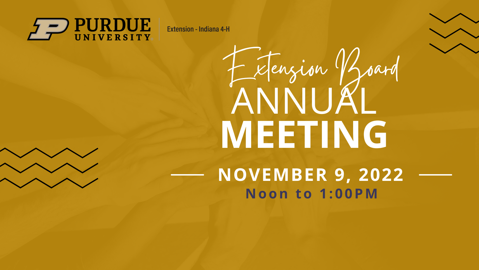 ANNUAL MEETING