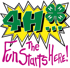 4-H