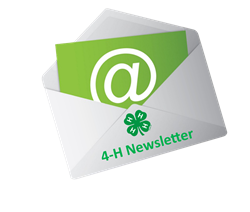 newsletter.jpg
