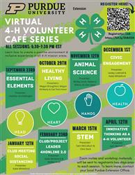 virtual4-H.jpg