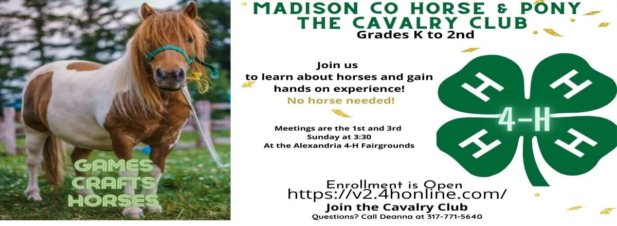 Mini Horse and Pony Banner