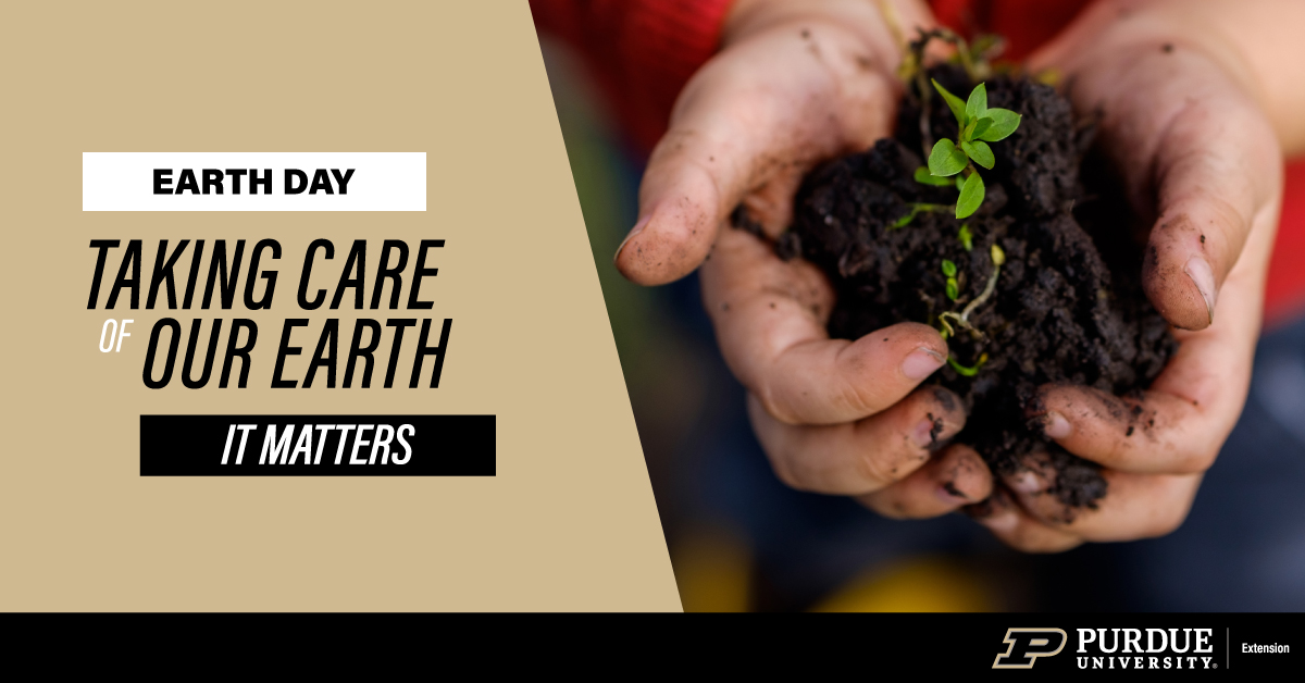 Hands with soil, earth day celebration.