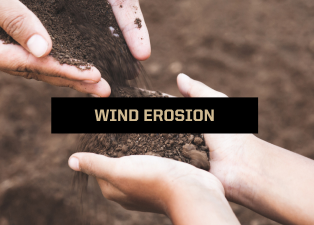 winderosion.jpg