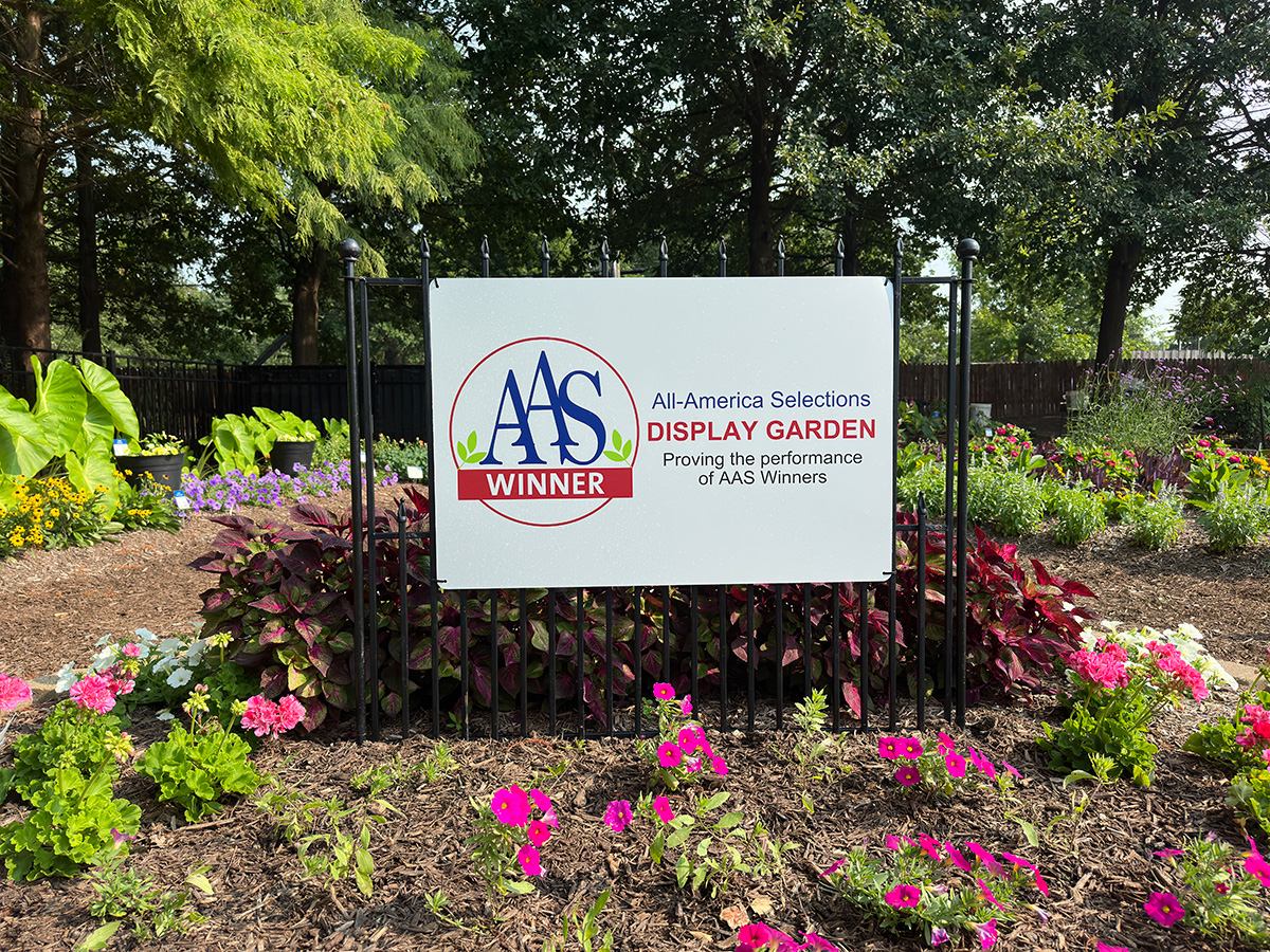 AAS sign for Marion County Demo Garden amongst bed of flowers