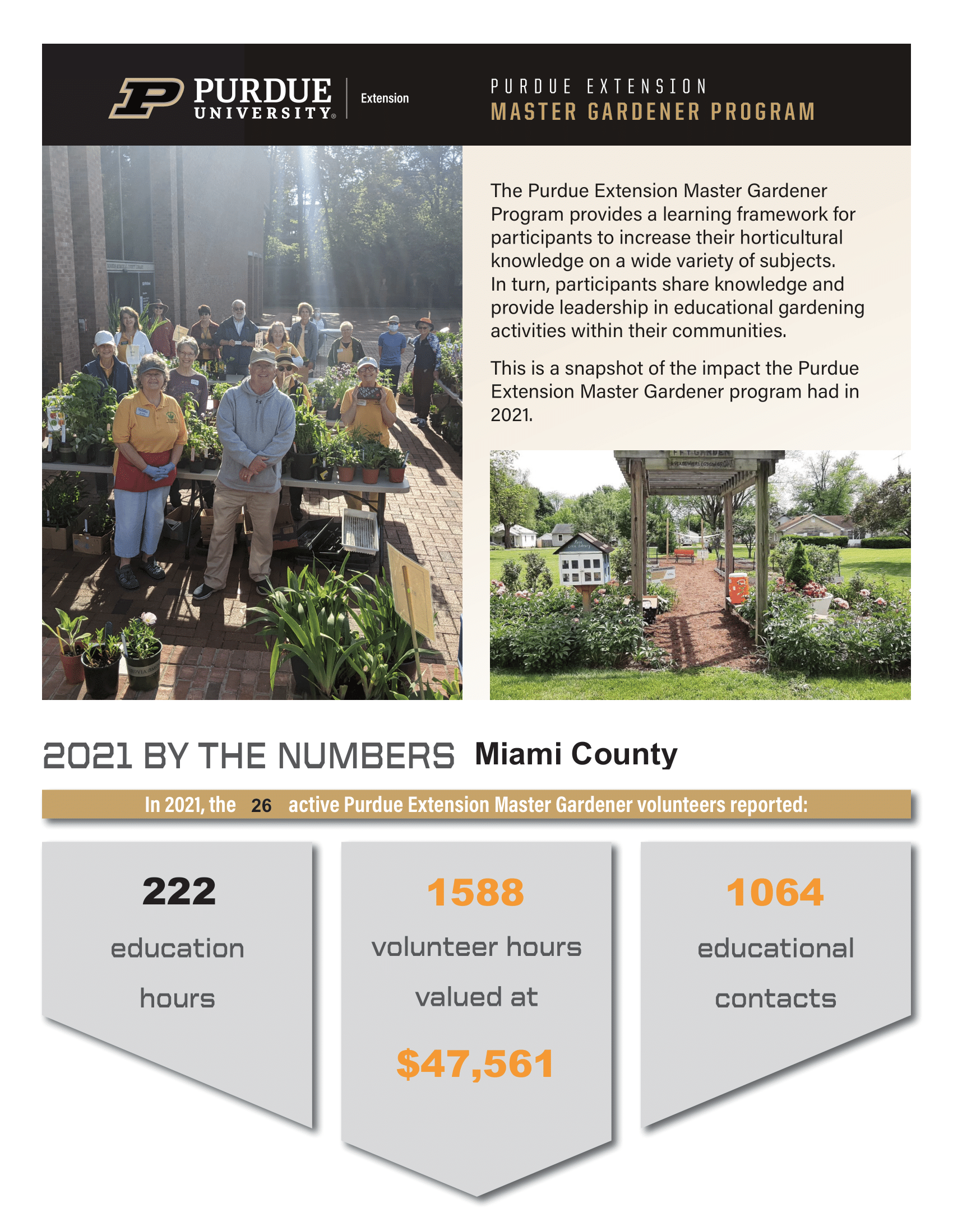 impact-flyer-2021408-1.png