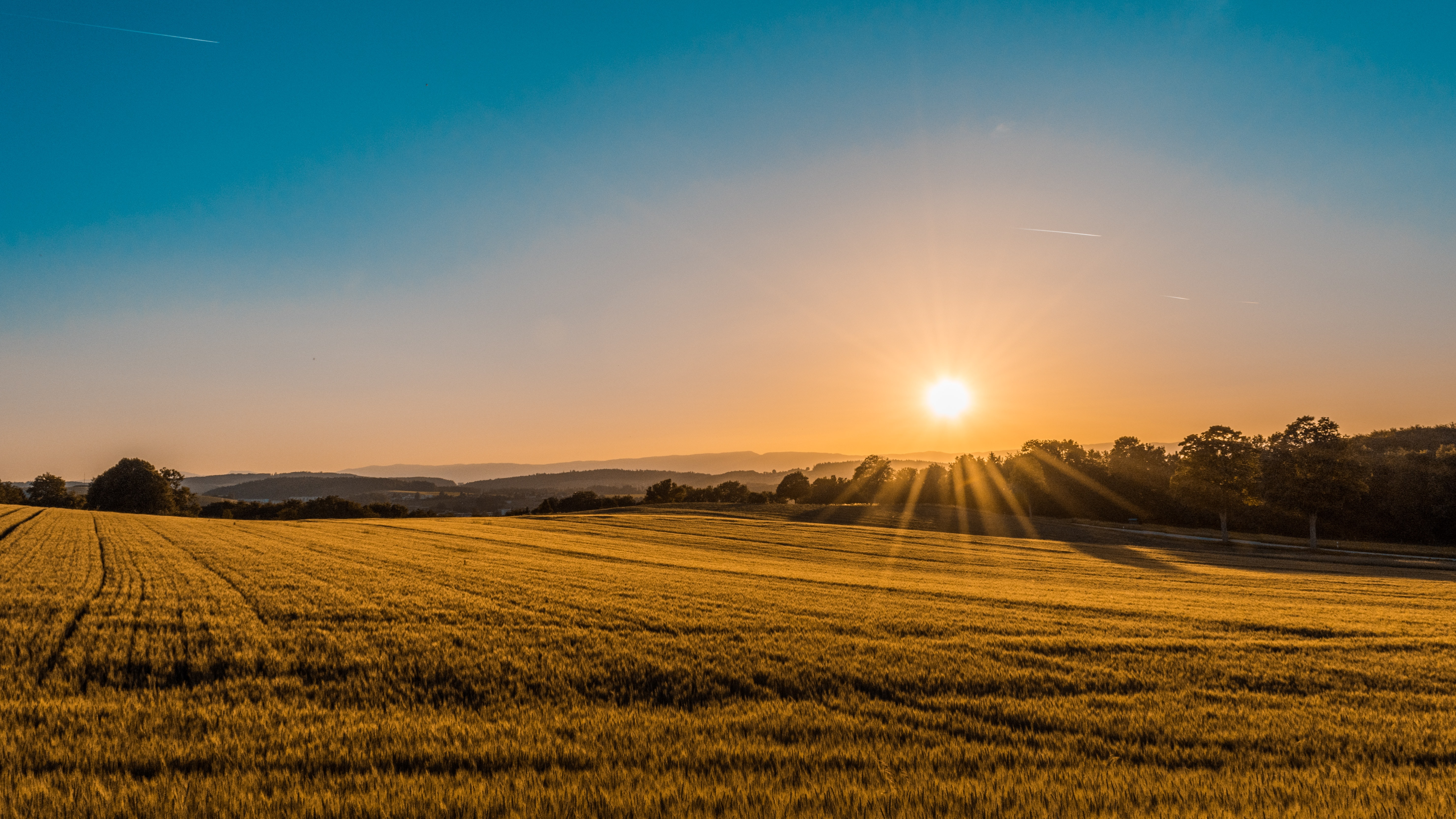 farm sunset