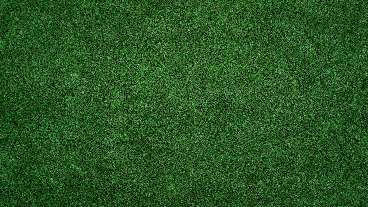 lawn