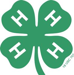 4-Hclover.jpg