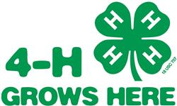 4-HgrowsHere.jpg