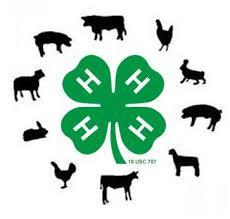 animal4-H.jpg