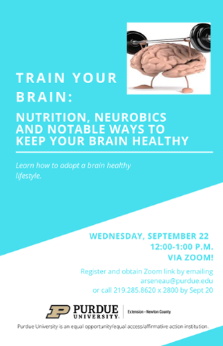 Train Your Brain
