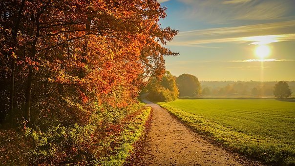 sunset and field 