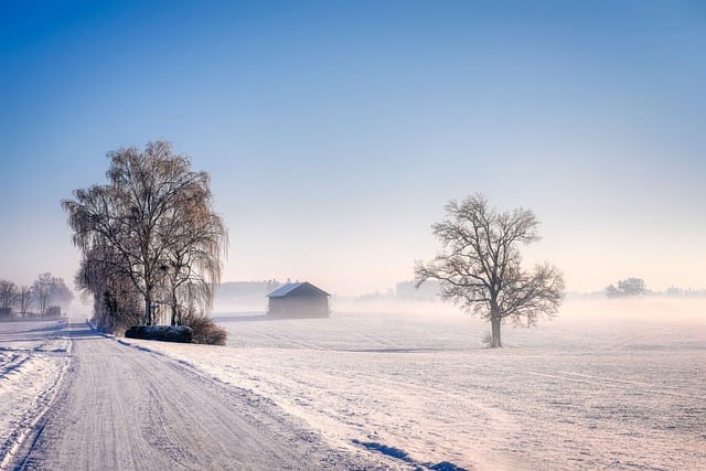 snow/barn