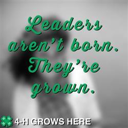 4-HgrowsHere.jpg