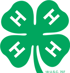 clover.jpg