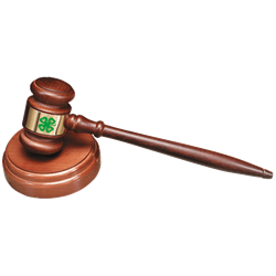 gavel.jpg