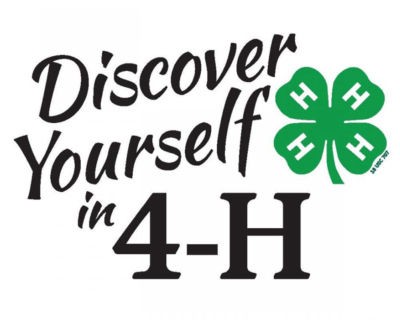 4-H Banner