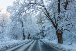 winter.png