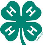clover.jpg