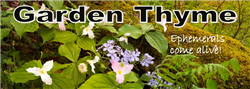gardenThyme1.jpg