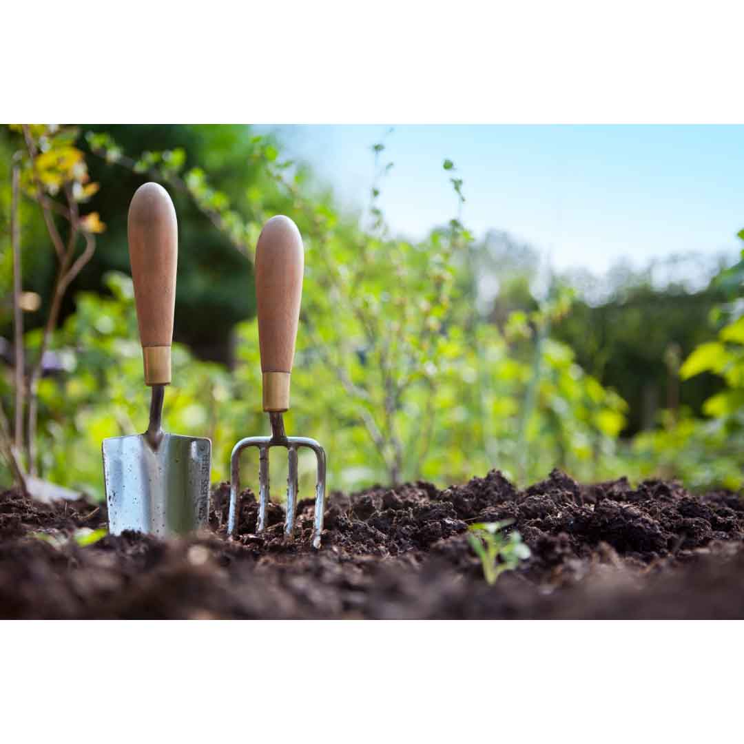 Getting ready to garden 