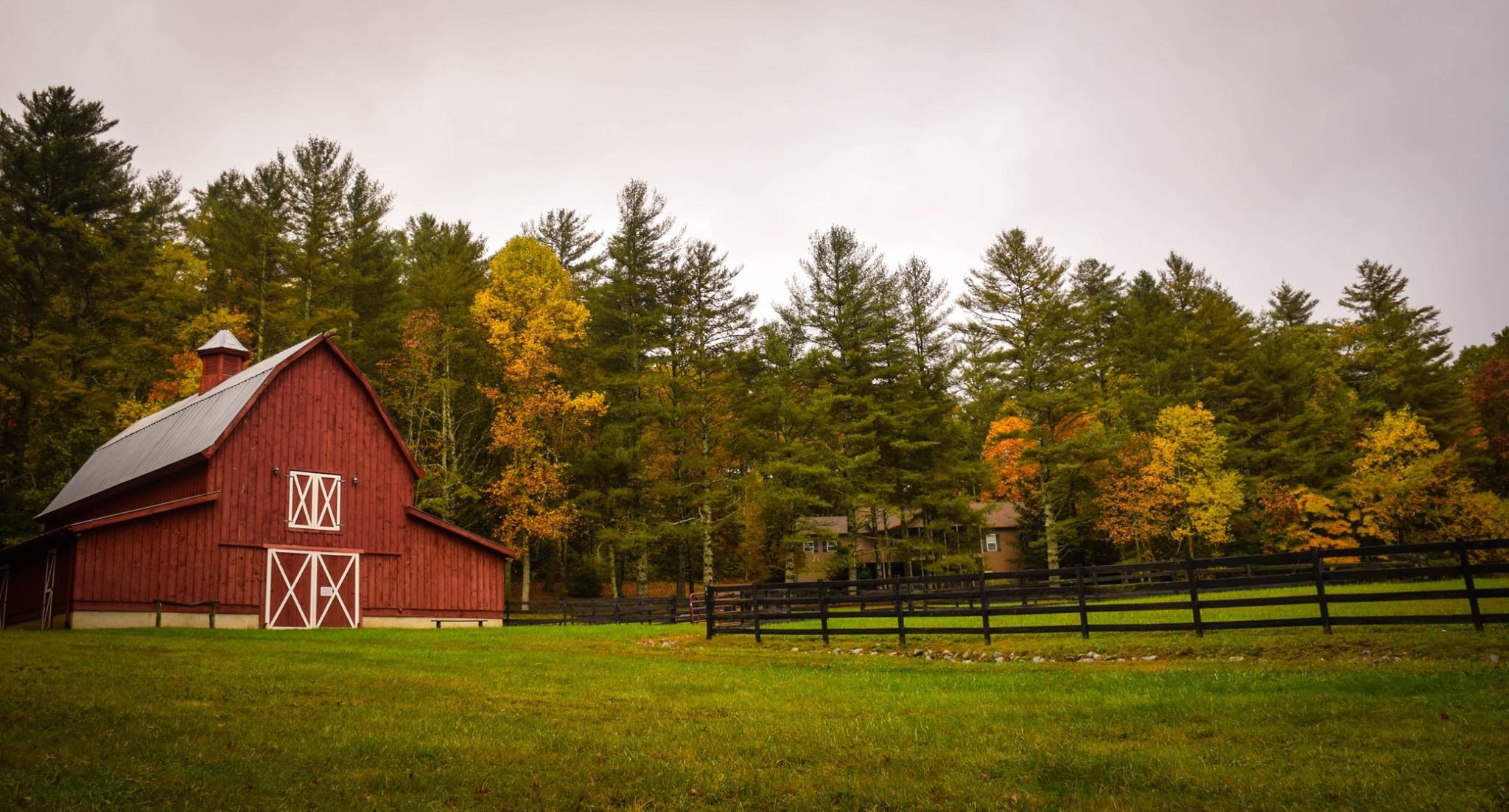 Farm with fall foliage in background 