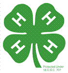 clover.jpg