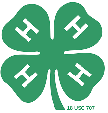 clover.jpg
