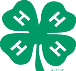 4-Hclover.jpg