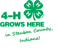 4-HgrowsHere.jpg