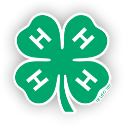 clover.jpg
