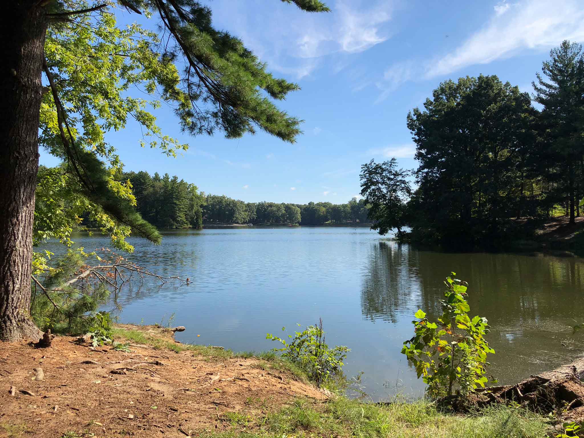 Sullivan County Extension NEWS Nov Dec 2021